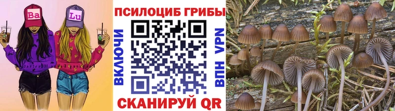 Псилоцибиновые грибы Magic Shrooms Бийск