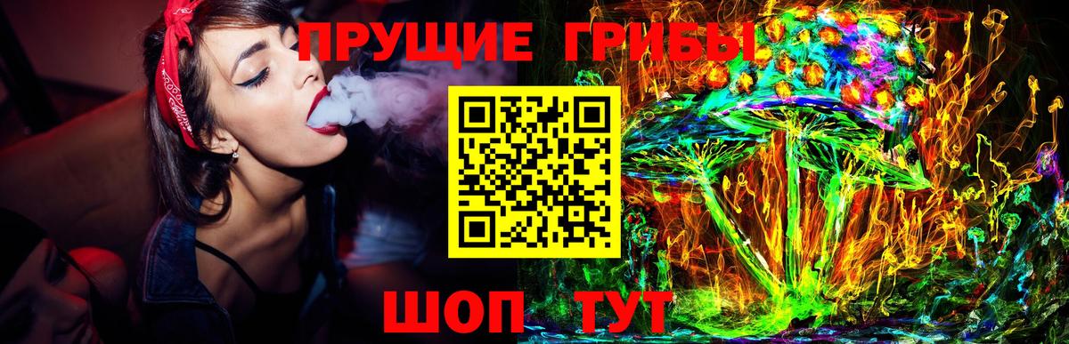 Бийск  Галлюциногенные грибы Magic Shrooms  Вход с VPN 
